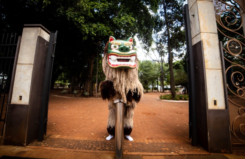 Ano do tigre traz boas fortunas e sorte (Foto: Henrique Arakaki)