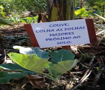 Foto - Reprodução Facebook