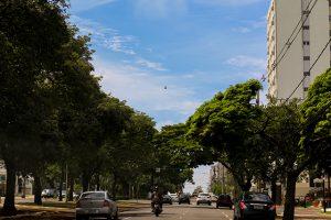 Dia do Trabalhador terá sol e tempo firme em MS