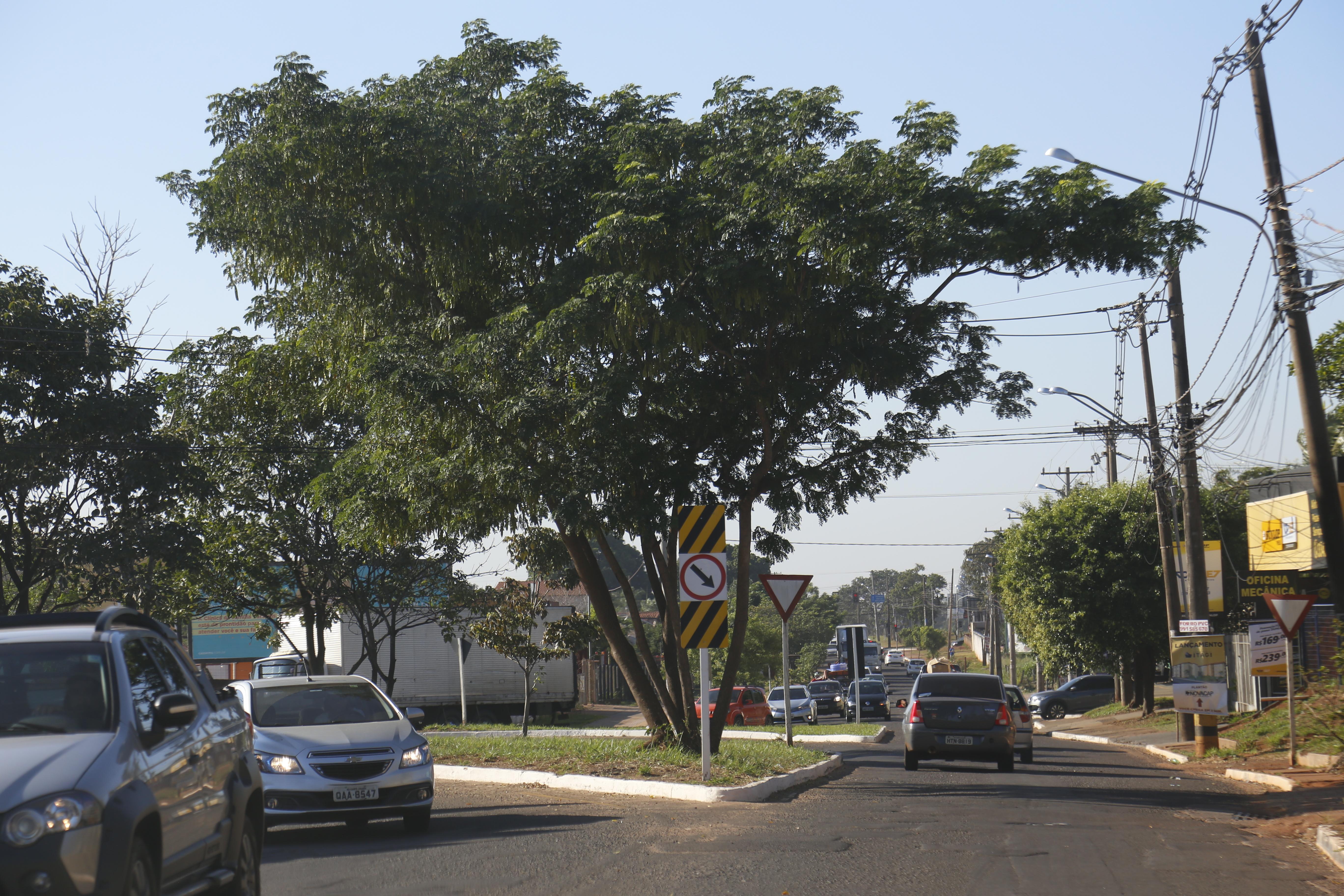 Rotatórias da Capital desafiam a paciência de motoristas