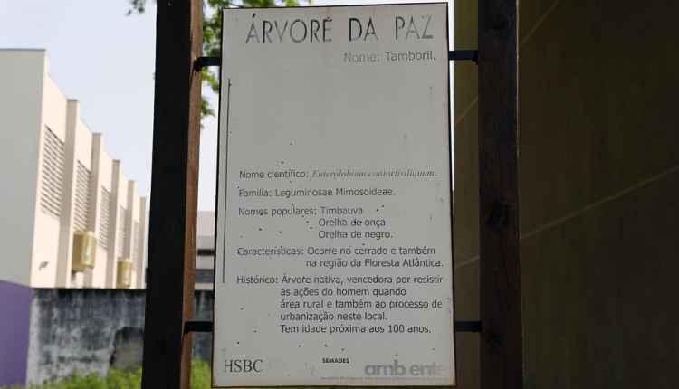 Com quase 230 mil árvores, Campo Grande é uma das capitais mais arborizadas do país