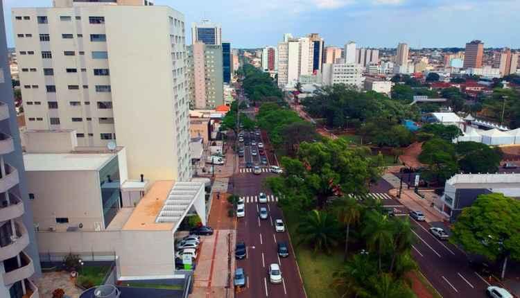 Com quase 230 mil árvores, Campo Grande é uma das capitais mais arborizadas do país