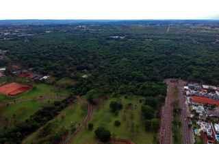 Instituto Histórico e Geográfico de MS se pronuncia sobre desmatamento no Parque dos Poderes