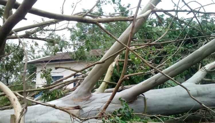 Município de MS decreta situação de emergência após estragos da chuva