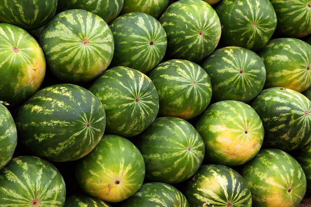 Conheça 23 festas tradicionais do Mato Grosso do Sul
