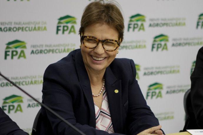 Tereza Cristina quer acabar com inspeção diária em frigoríficos do país