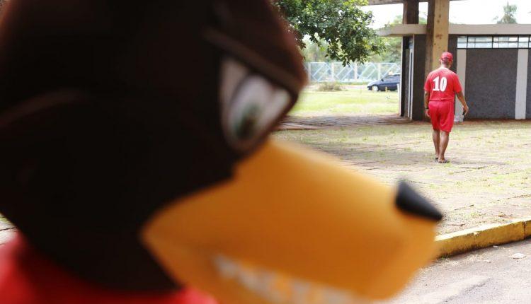 Começa Estadual 2019: novo mascote, mulheres gandulas e família no Morenão