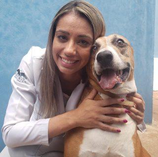 Mito ou verdade: após morte de bebê, especialistas esclarecem se Pitbull é um cão perigoso