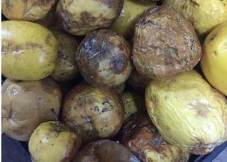 Supermercado é flagrado vendendo produtos vencidos e com larvas na Capital