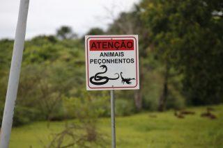 No dia da água, lagos de Campo Grande agonizam e animais enfrentam assoreamento