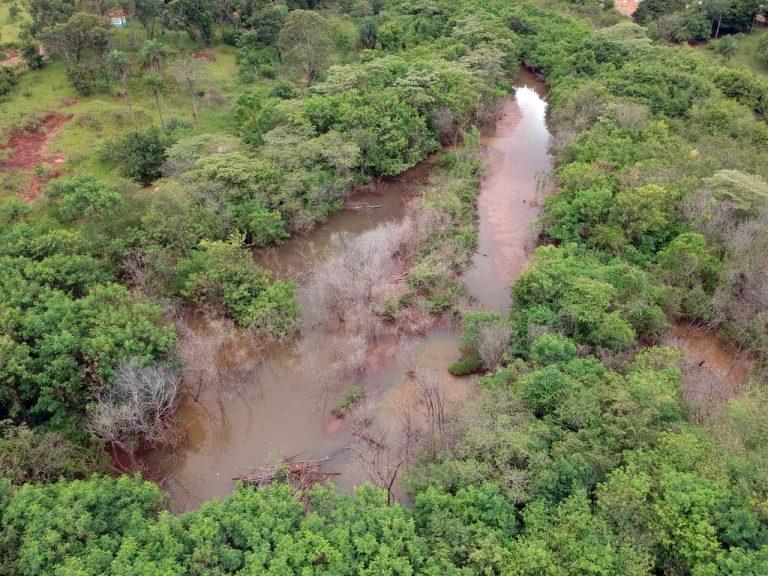 No dia da água, lagos de Campo Grande agonizam e animais enfrentam assoreamento