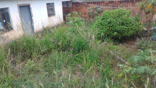 Com medo de dengue, vizinhos se preocupam com casa abandonada