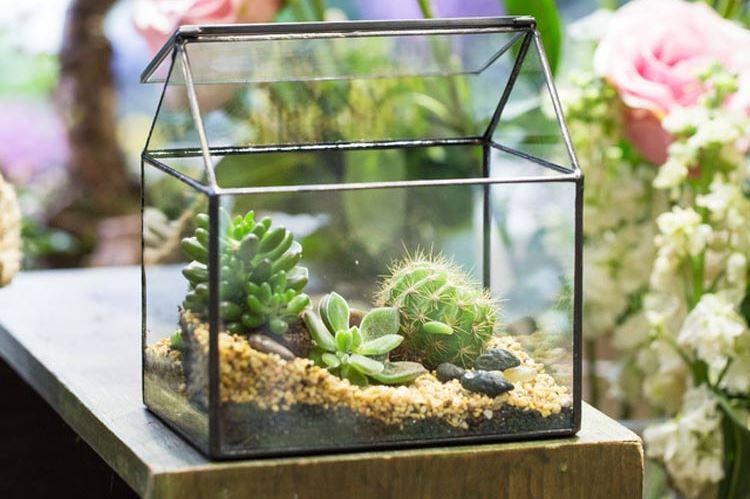 5 ideias originais de terrários para fazer em casa