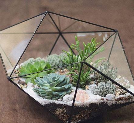 5 ideias originais de terrários para fazer em casa