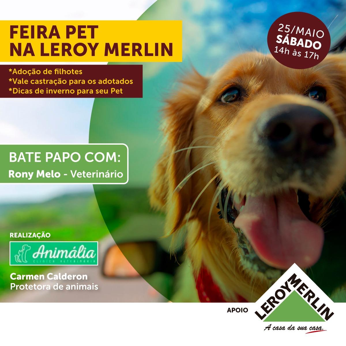Me leva pra casa! Leroy Merlin faz feira de adoção de pets neste sábado