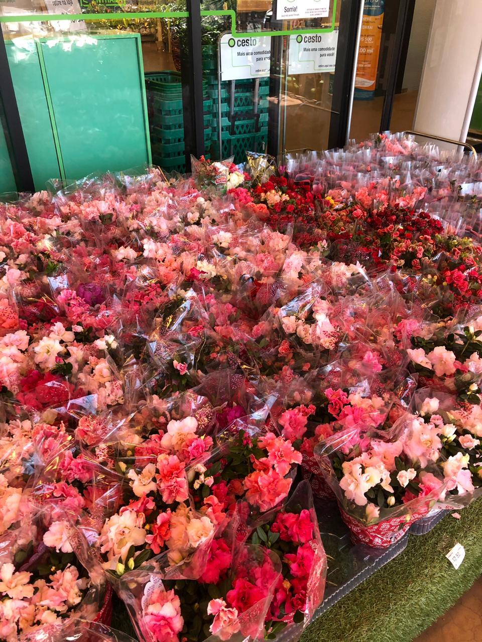 Dia dos Namorados na Leroy Merlin terá grandes ofertas de plantas e um mimo especial para os casais