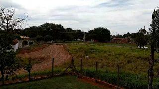 Sonho da rotatória: área é tomada por matagal e moradores reclamam