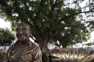 #CG120: Espetáculo à parte, árvores são orgulho da Capital mais arborizada do país
