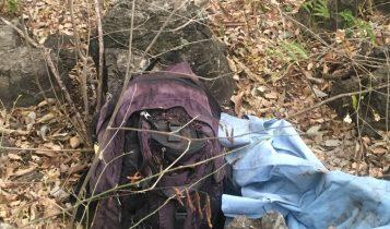 Ossada humana é encontrada próxima a assentamento em Corumbá