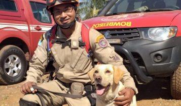 Cães de Busca dos Bombeiros de MS embarcam para Brumadinho