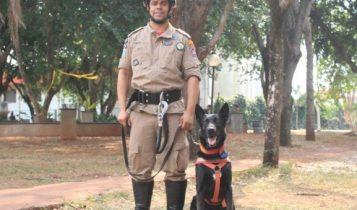 Cães de Busca dos Bombeiros de MS embarcam para Brumadinho