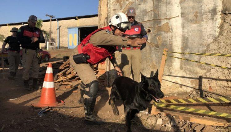 Cães de Busca dos Bombeiros de MS embarcam para Brumadinho