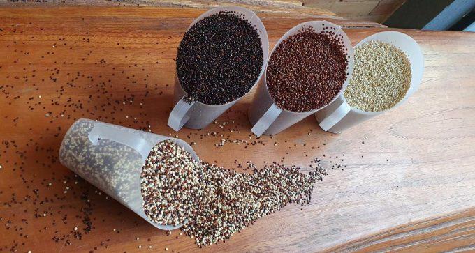Foco na saúde: o que pequenas mudanças na alimentação podem proporcionar