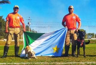 Com cães farejadores de MS, bombeiros resgatam mais um corpo em Brumadinho