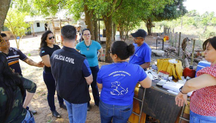 Sem água e acorrentados, 40 cães de caça são resgatados de fazenda