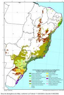 Operação vai fiscalizar desmatamento da Mata Atlântica em 20 cidades de MS