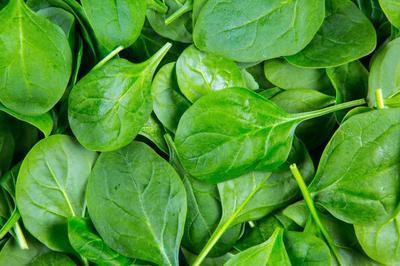 Os 10 melhores alimentos para a prisão de ventre