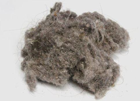 Como fazer a limpeza da casa da maneira correta