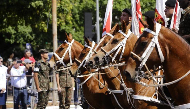 Desfile da Independência levou 20 mil pessoas à rua 13 de Maio neste sábado