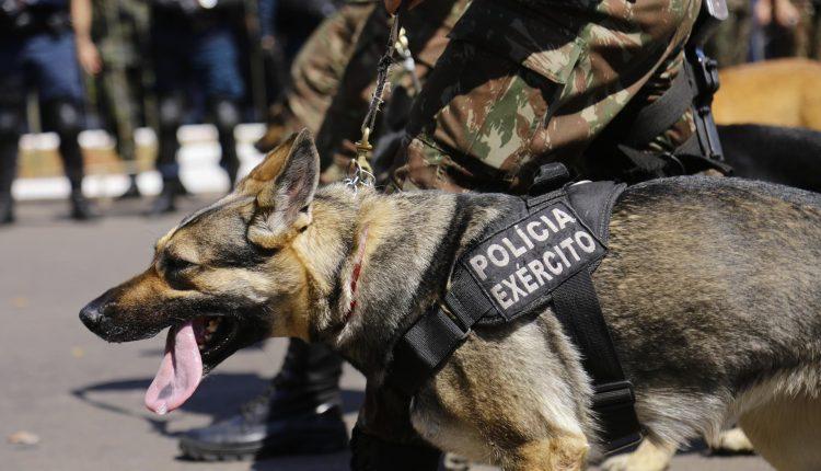 Desfile da Independência levou 20 mil pessoas à rua 13 de Maio neste sábado