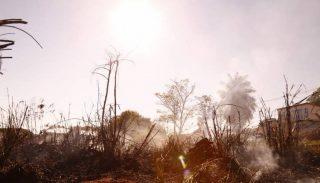 Calorão e tempo seco agravam doenças respiratórias; saiba como se cuidar