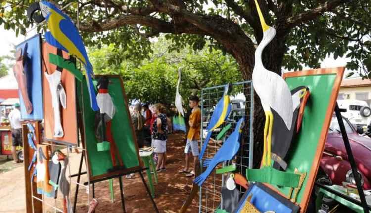 Arte, comida e renda extra: feira da Bolívia encanta campo-grandenses há 14 anos