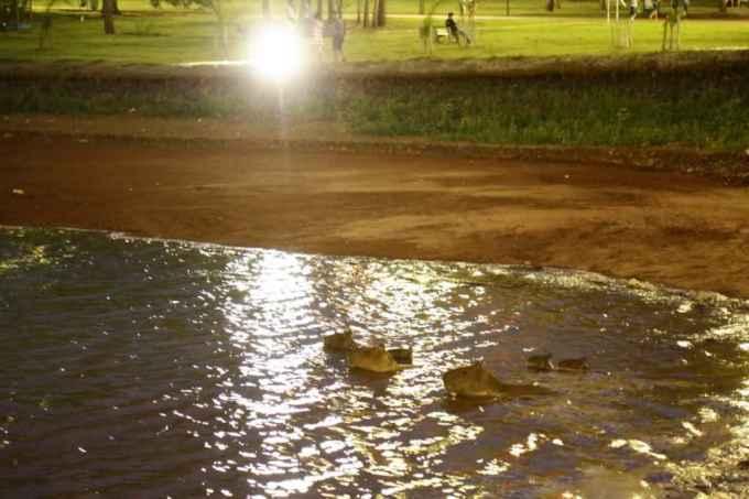 Mesmo com lago incompleto, reabertura de área no Parque das Nações atrai o público
