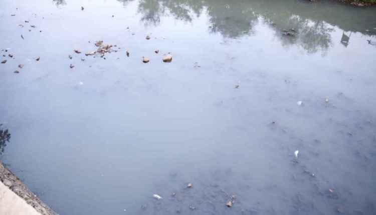 Mistério: água muda de cor e peixes aparecem mortos em córrego na Ernesto Geisel