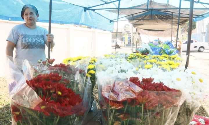 Ambulantes lamentam diminuição de parentes, mas se preparam para movimento nos cemitérios