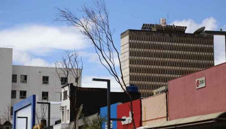 Novas árvores da 14 de Julho não brotam e serão trocadas neste mês