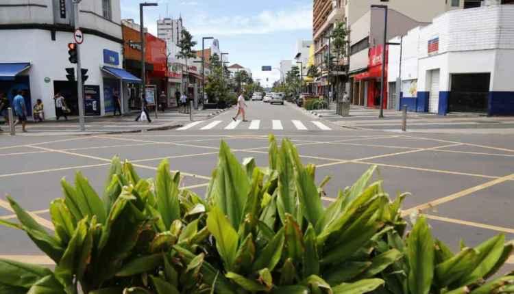 Novas árvores da 14 de Julho não brotam e serão trocadas neste mês