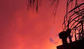 VÍDEO: Céu 'alaranjado' antes das chuvas chama atenção de campo-grandenses
