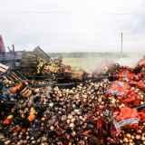 Caminhão pega fogo em rodovia e 19 mil quilos de alimentos são destruídos