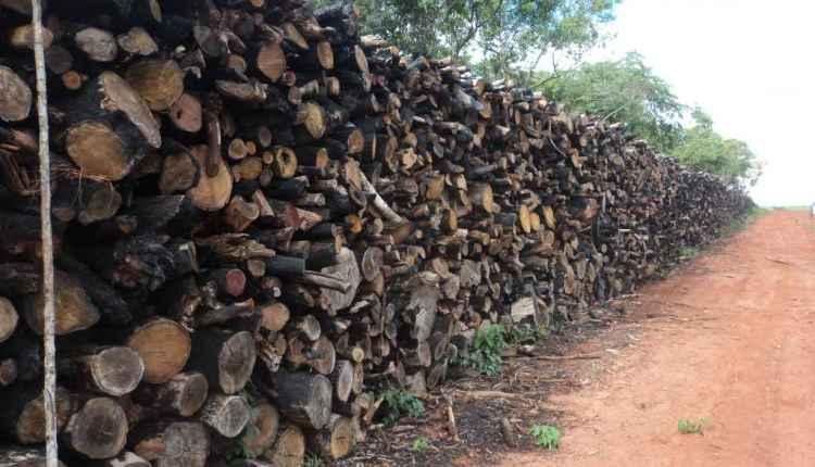 Arrendatário é multado por armazenamento ilegal de agrotóxico e mais 4 crimes ambientais