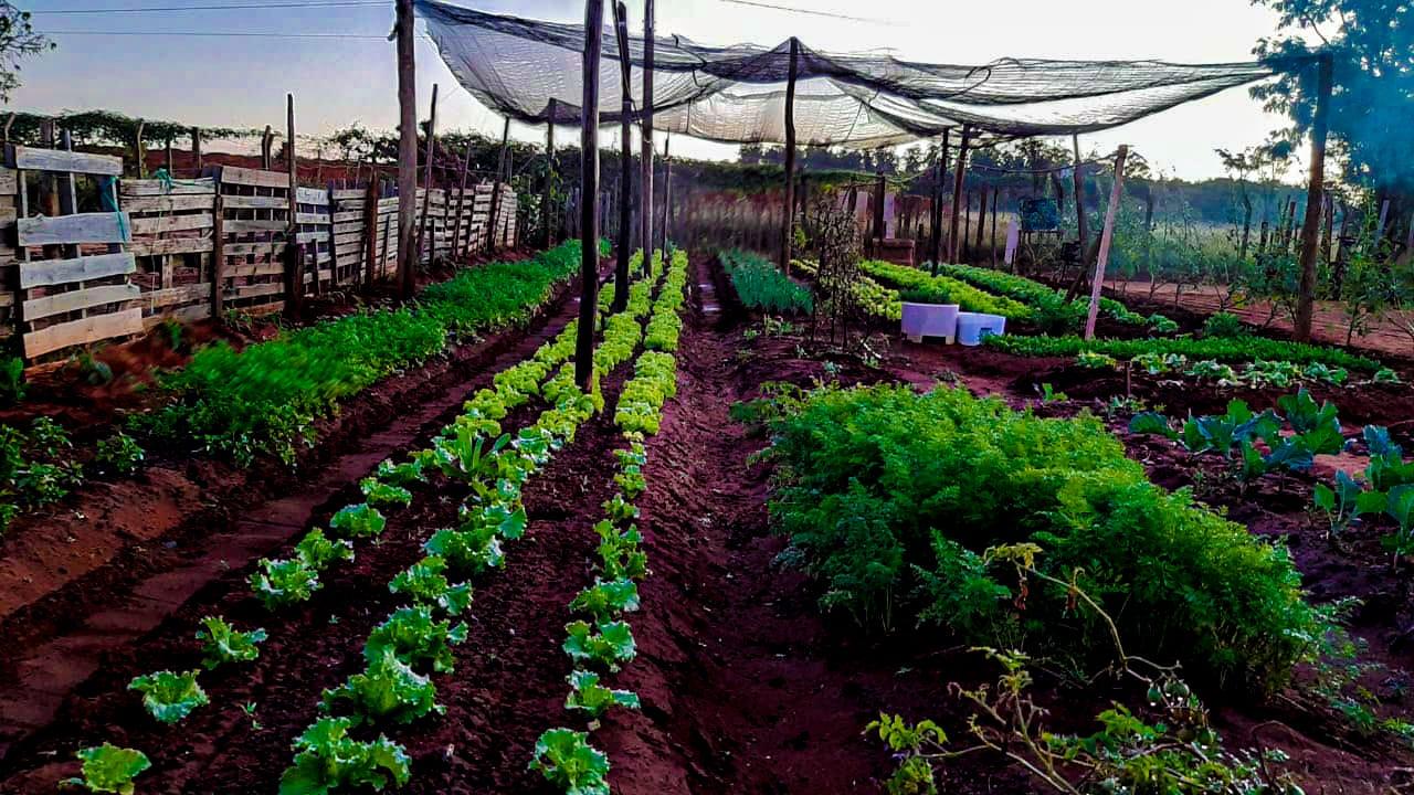 Aldeia Água Bonita produz orgânicos e artesanatos e querem chegar à mesa da população