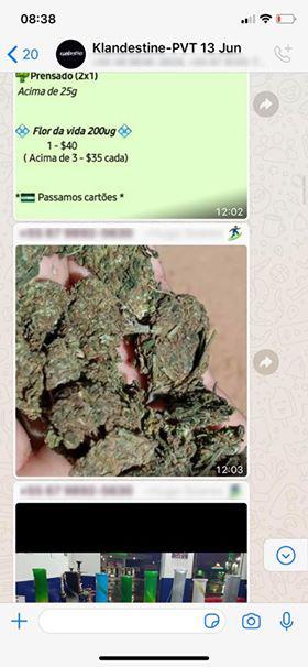 VÍDEO: Pelo WhatsApp, jovens organizam rave clandestina e lotam casa em Campo Grande
