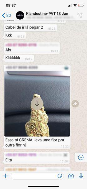 VÍDEO: Pelo WhatsApp, jovens organizam rave clandestina e lotam casa em Campo Grande