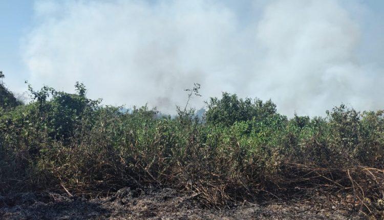 FOTOS: Bombeiros identificam foco de incêndio em margem do Rio Paraguai