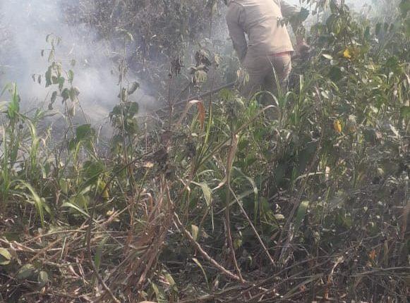 FOTOS: Bombeiros identificam foco de incêndio em margem do Rio Paraguai