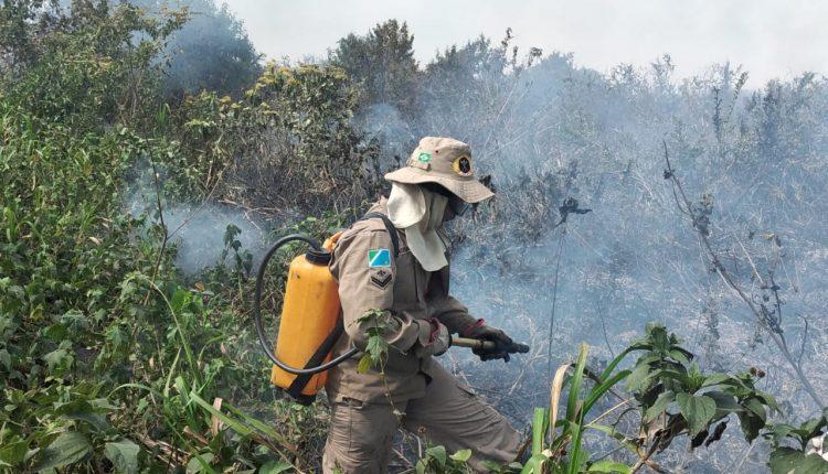 FOTOS: Bombeiros identificam foco de incêndio em margem do Rio Paraguai
